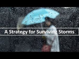 Adviesdiensten als overlevingsstrategie